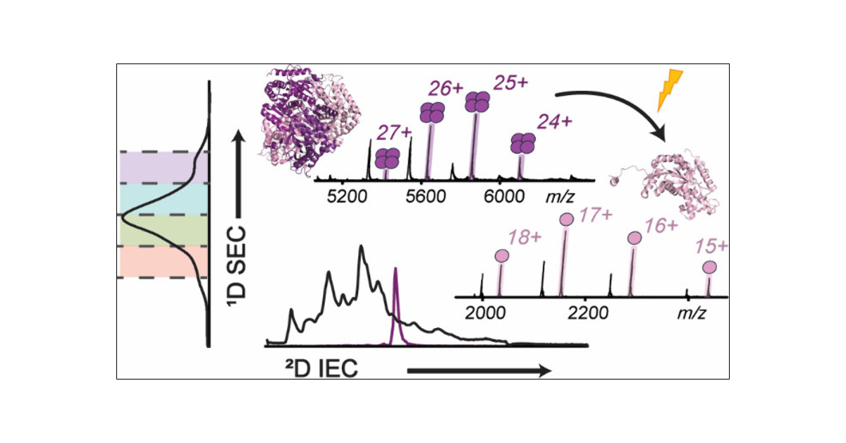 Ge_Lab_UW's tweet card. Protein complexes are essential for virtually all biological processes, yet their structural characterization remains a major challenge due to their heterogeneous, dynamic nature and the complexity...