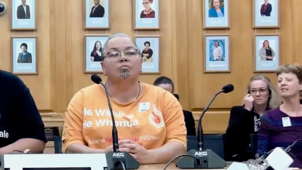 ReduxxMag's tweet card. A Māori women’s rights advocate in New Zealand is facing prison time after being reported to police by a trans-identified male for her social media posts. Rex Landy, a member of Mana Wāhine Kōrero,...