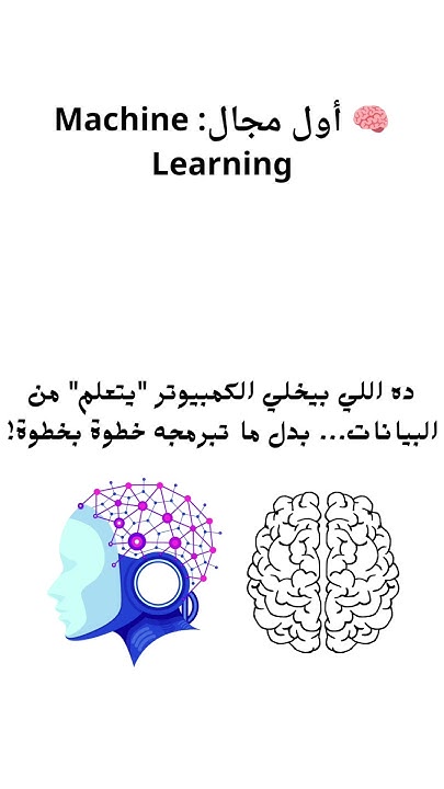 AIcode78's tweet card. "3 مجالات في الذكاء الاصطناعي لازم تتعلمها كمبرمج | مطلوبة في سوق...