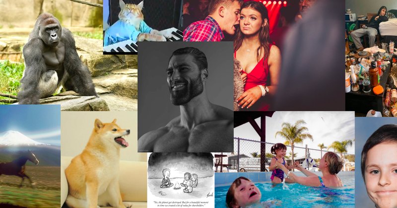 Tweet card summary image