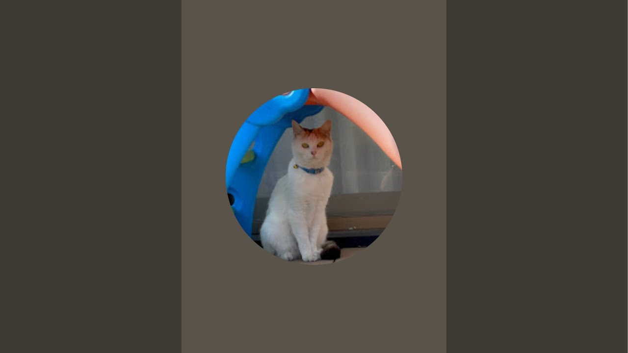 yokishimu's tweet card. 地上波について