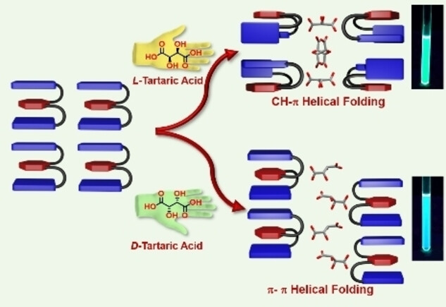 ChemEurJ's tweet card. A chiral, axially-twisted molecular scaffold (ATMS) undergoes subtle differences in the stereochemical orientations on enantioselective interaction with stereoisomers of tartaric acid (TA), generat...