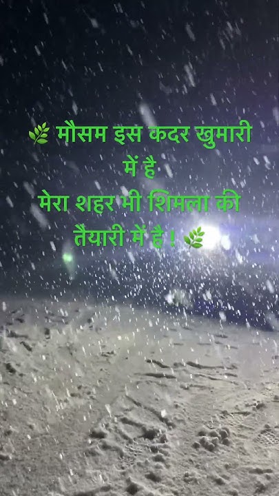coding_priyanca's tweet card. 🍃The season to sparkle ✨ ⛄️ #punjabisong #snowfall #snowday 🍃