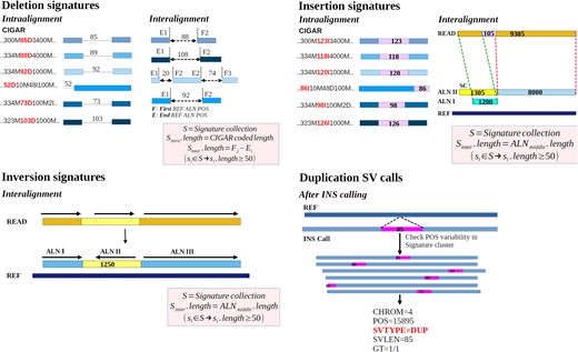 jsantoyo's tweet card. AbstractBackground. Structural variants (SVs) are genomic polymorphisms defined by their length (>50 bp). The usual types of SVs are deletions, insertio
