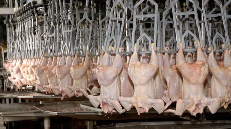 Capexpy's tweet card. La carne aviar paraguaya está a punto de embarcar rumbo a Filipinas, un mercado recientemente habilitado para las exportaciones del país. El primer envío consistirá en un contenedor mix, que estará a...
