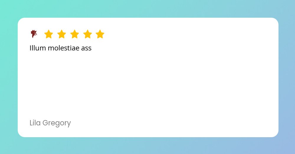 FlutterDesk's tweet card. Check out what our customers are saying about us!