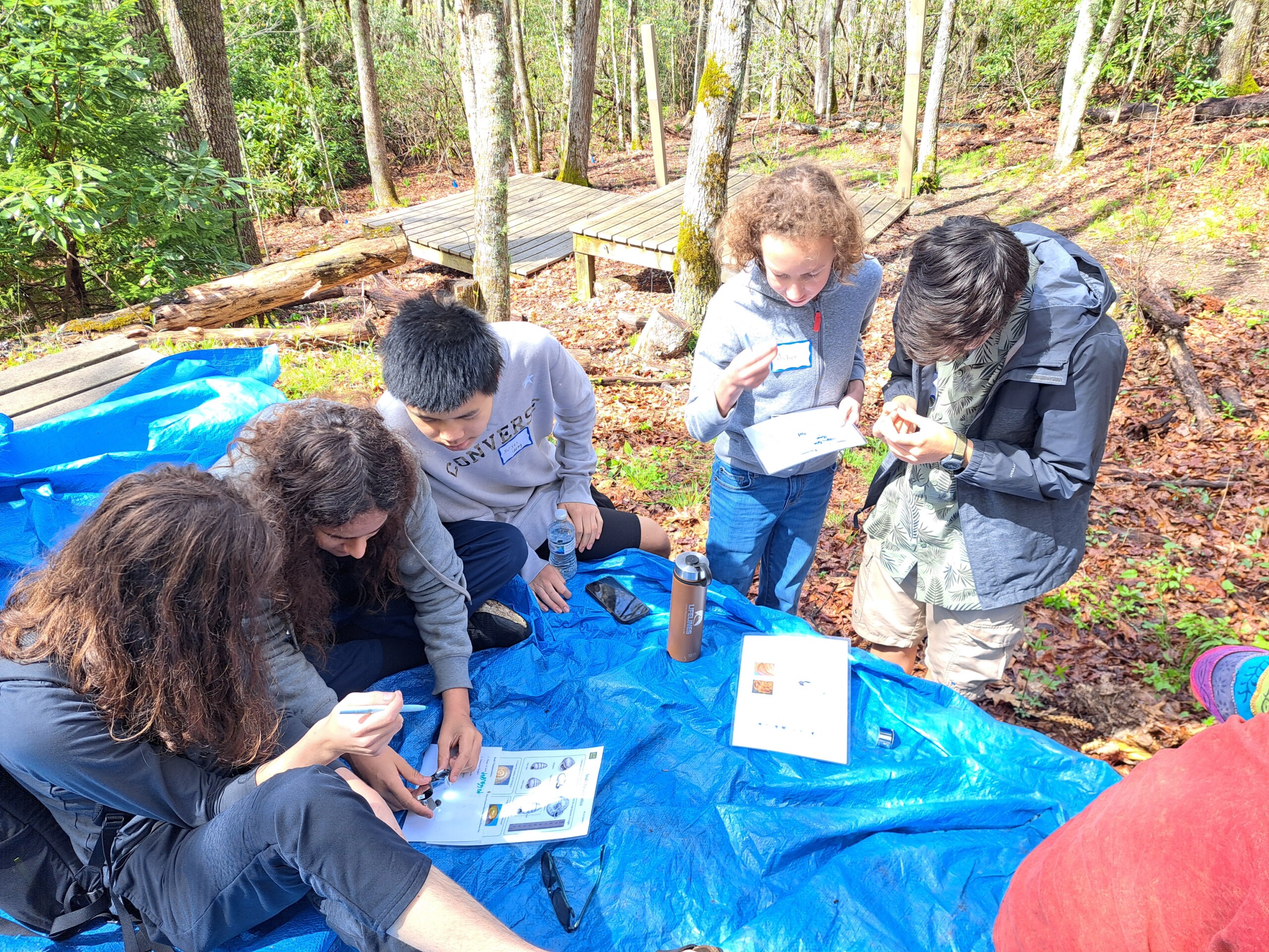 OpenWayLearning's tweet card. Western NC educators use adversity from Hurricane Helene to innovate education and community healing, focusing on resilience and student-centered learning.Resilience in education