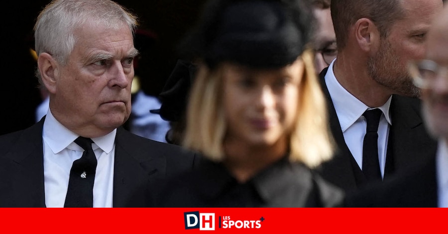 ladh's tweet card. Des échanges entre le prince et Epstein dévoilés ce week-end ont encore un peu plus entaché la réputation d'Andrew. Il va bien être forcé de se tourner vers Charles ou William pour gérer la situation.