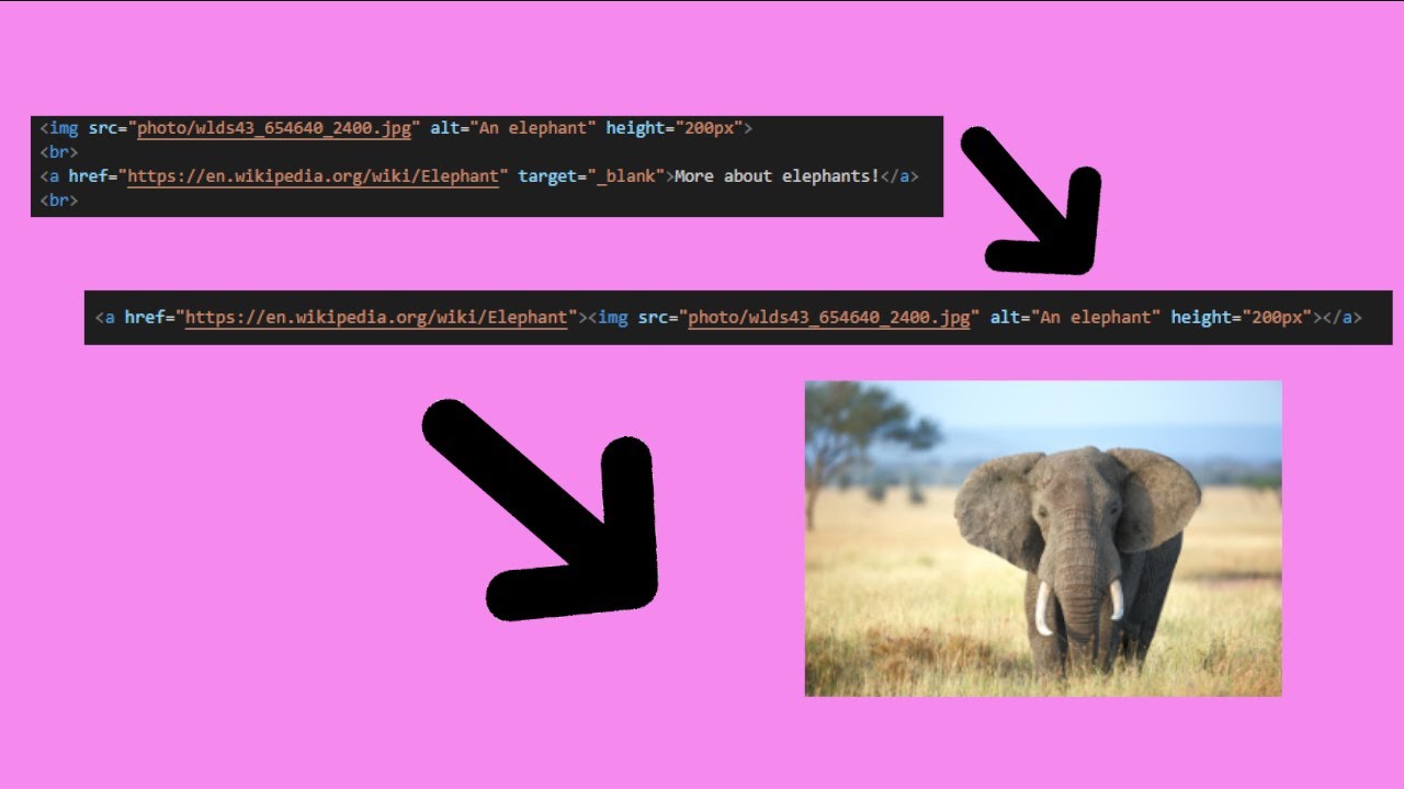 Codebeginners's tweet card. Learn HTML | How to use an image as a link