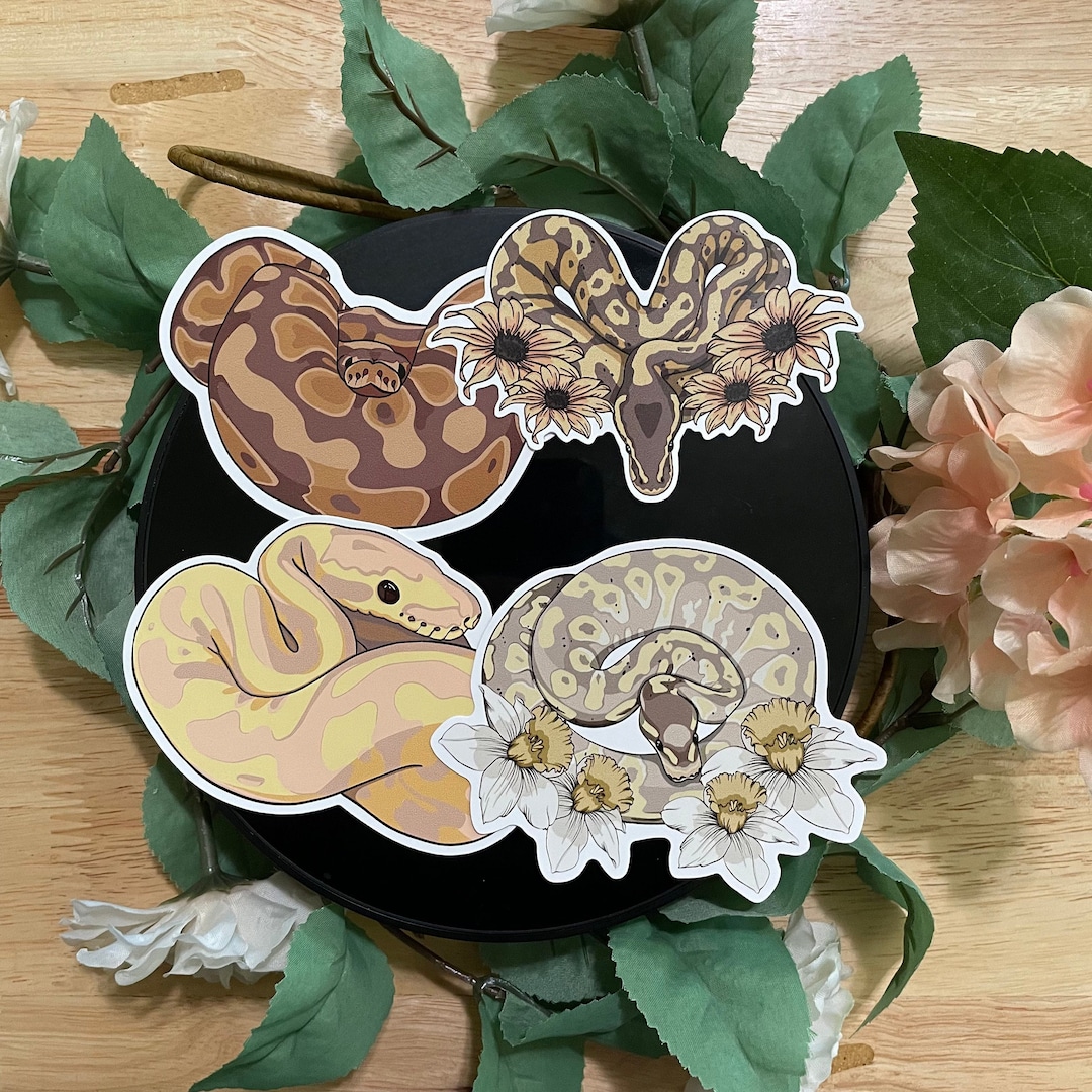 AngeladerisoA's tweet card. This Stickers item by emmasartistrypro has 212 favorites from Etsy shoppers. Ships from Fort Lauderdale, FL. Listed on Oct 14, 2025