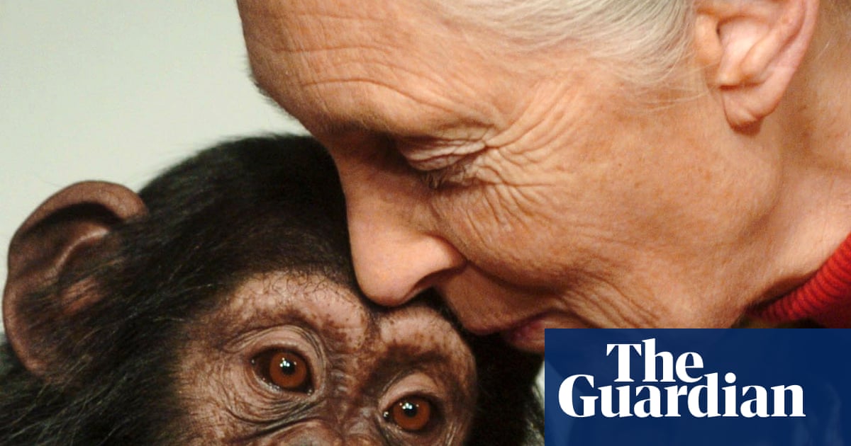 andrew_pask's tweet card. Jane Goodall Institute says ‘tireless advocate’ for natural world died in California during US speaking tour