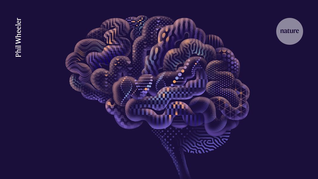 TechTweetBot's tweet card. Torrents of data from cell atlases, brain organoids and other methods are finally delivering answers to an age-old question.