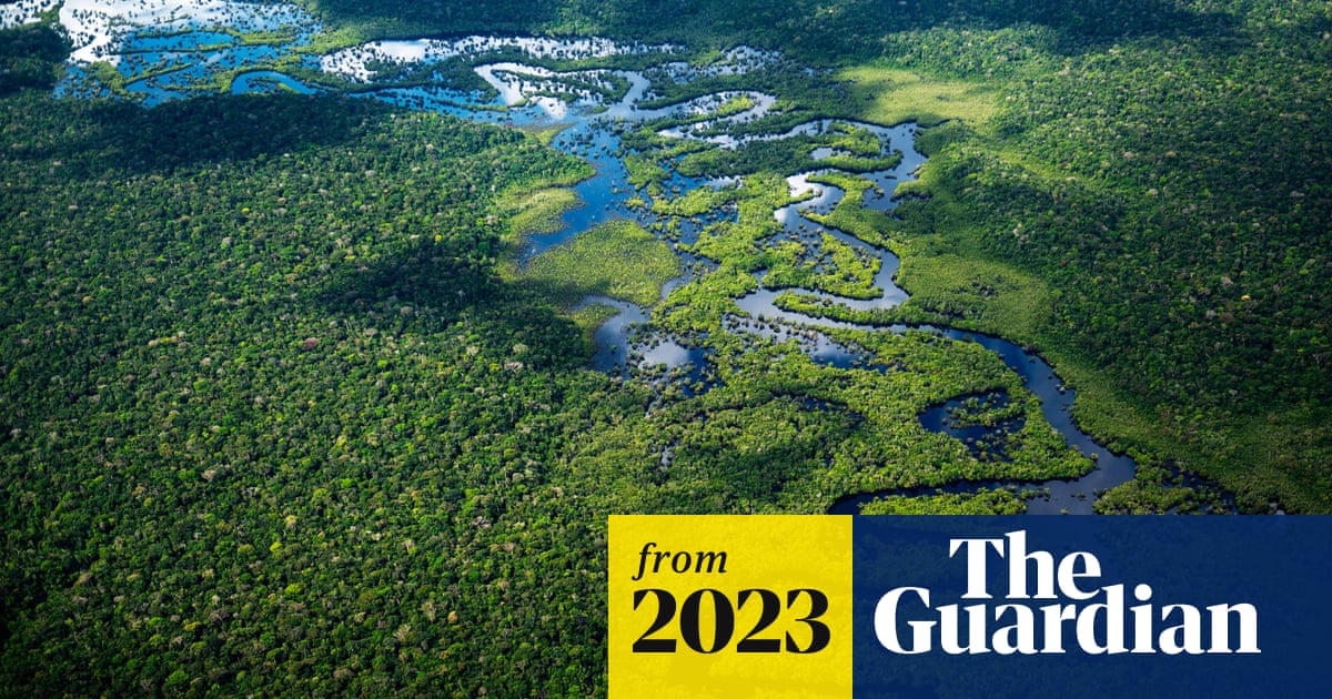 teamtreexyz's tweet card. Advertising watchdog to begin stricter enforcement on use of terms such as ‘carbon neutral’ amid concerns over offsets