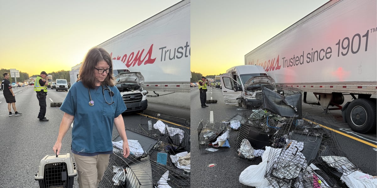 wcax's tweet card. An animal rescue van transporting cats from Atlanta to Vermont was one of the vehicles involved in a deadly crash on Interstate 85 in Jackson County, they said.