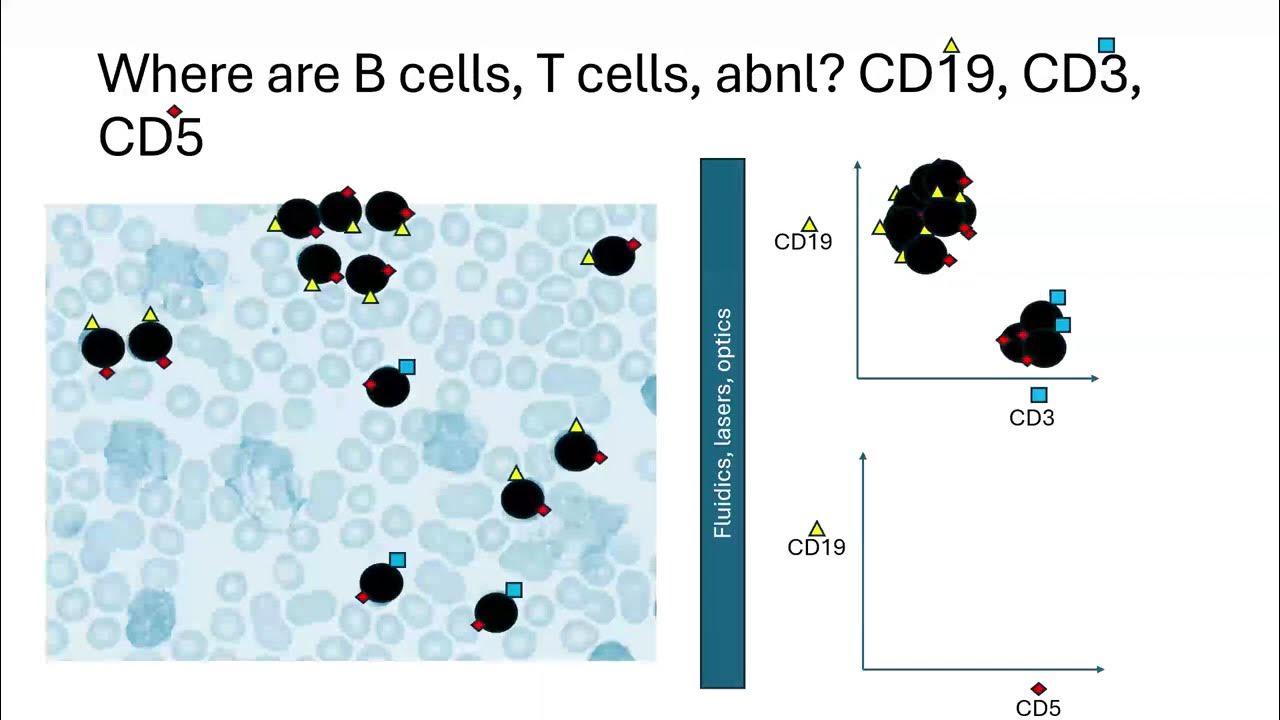 hemepathiseasy's tweet card. Intro to Flow Cytometry