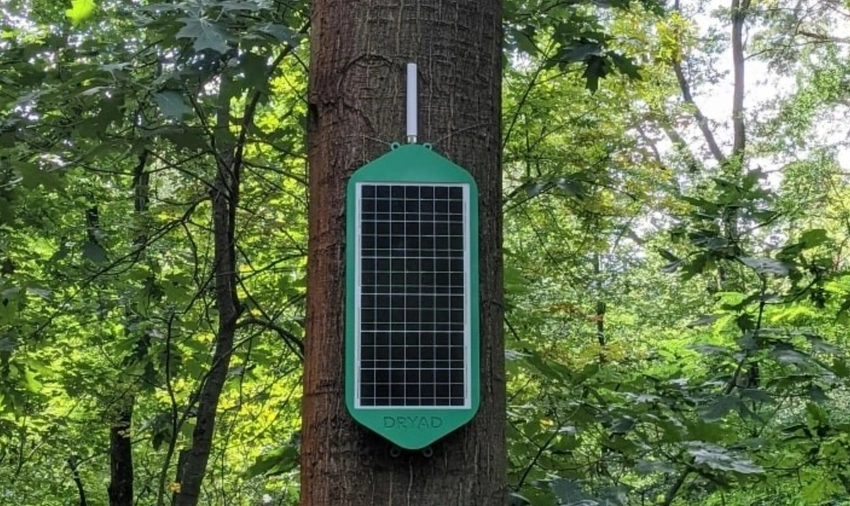 buscadorarduino's tweet card. Vodafone y Cepsa se unen para proteger la Laguna Primera de Palos de la Frontera con un sistema IoT de detección de incendios