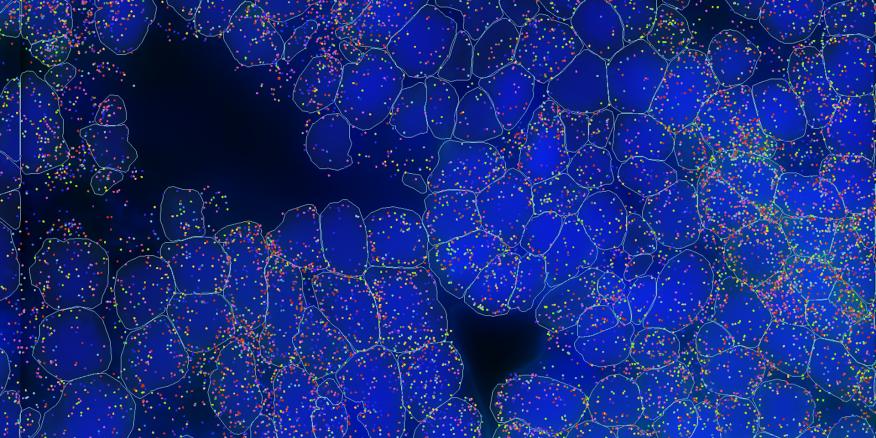 EarlhamInst's tweet card. Linking heterogeneity in gene expression within individual cells with whole organism phenotypes and adaptability.