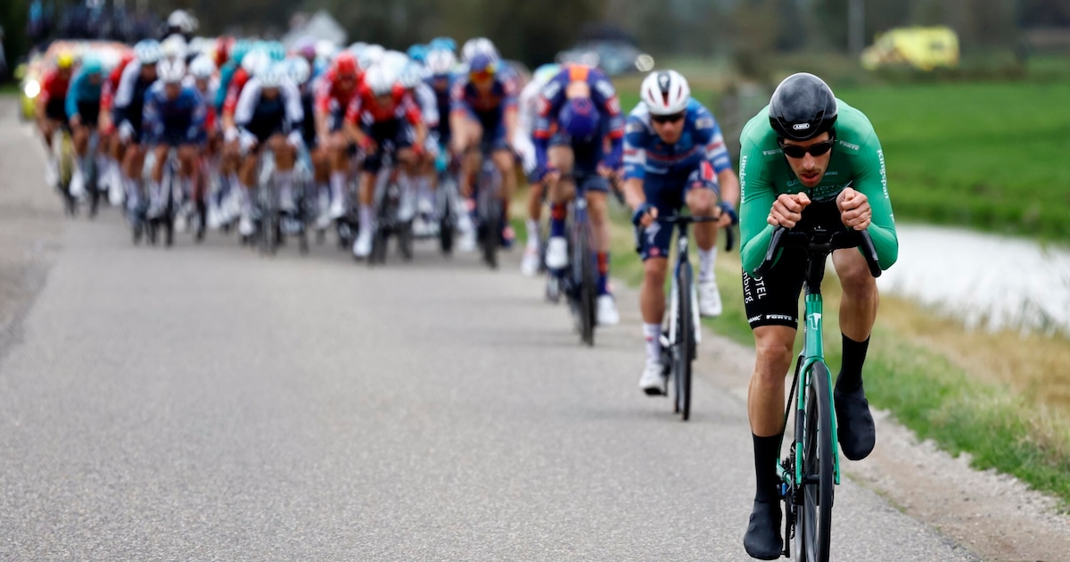 Leeuwenheart's tweet card. Jan-Willem van Schip toonde zich woensdag in de Tour of Holland door in de aanval te gaan, maar in de rituitslag stond een ‘DSQ’ achter zijn naam: diskwalificatie. Van Schip, vooral bekend van het...