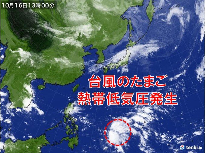 tenkijp's tweet card. 今日16日(木)の午前9時にフィリピンの東で台風のたまごである、熱帯低気圧が発生しました。今後は西よりに進むため、日本のへの直接的な影響はありませんが、10月でも日本に影響を及ぼすような台風が発生する可能性はあります。日頃からの備えを進めてください。
