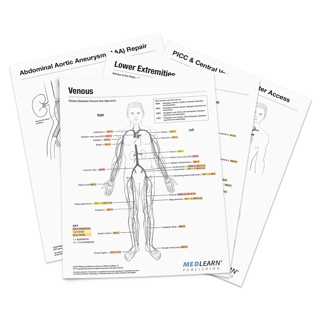 MedLearnPubs's tweet card. Understanding the intent of the physician who performed an interventional radiology procedure is critical to increasing coding output and accuracy — precisely what you get with these color-coded...
