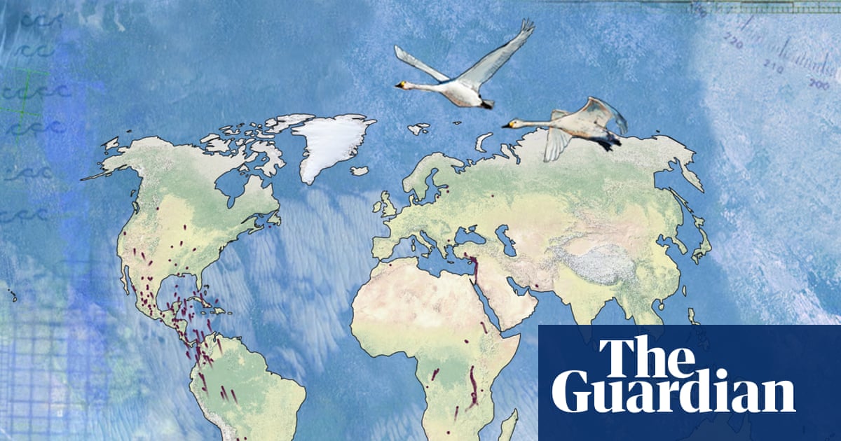 GreenSchoolsAll's tweet card. Bird migrations rank as one of nature’s greatest spectacles. Thanks to GPS tracking, scientists are uncovering extraordinary insights into ancient and mysterious journeys – and new threats that are...