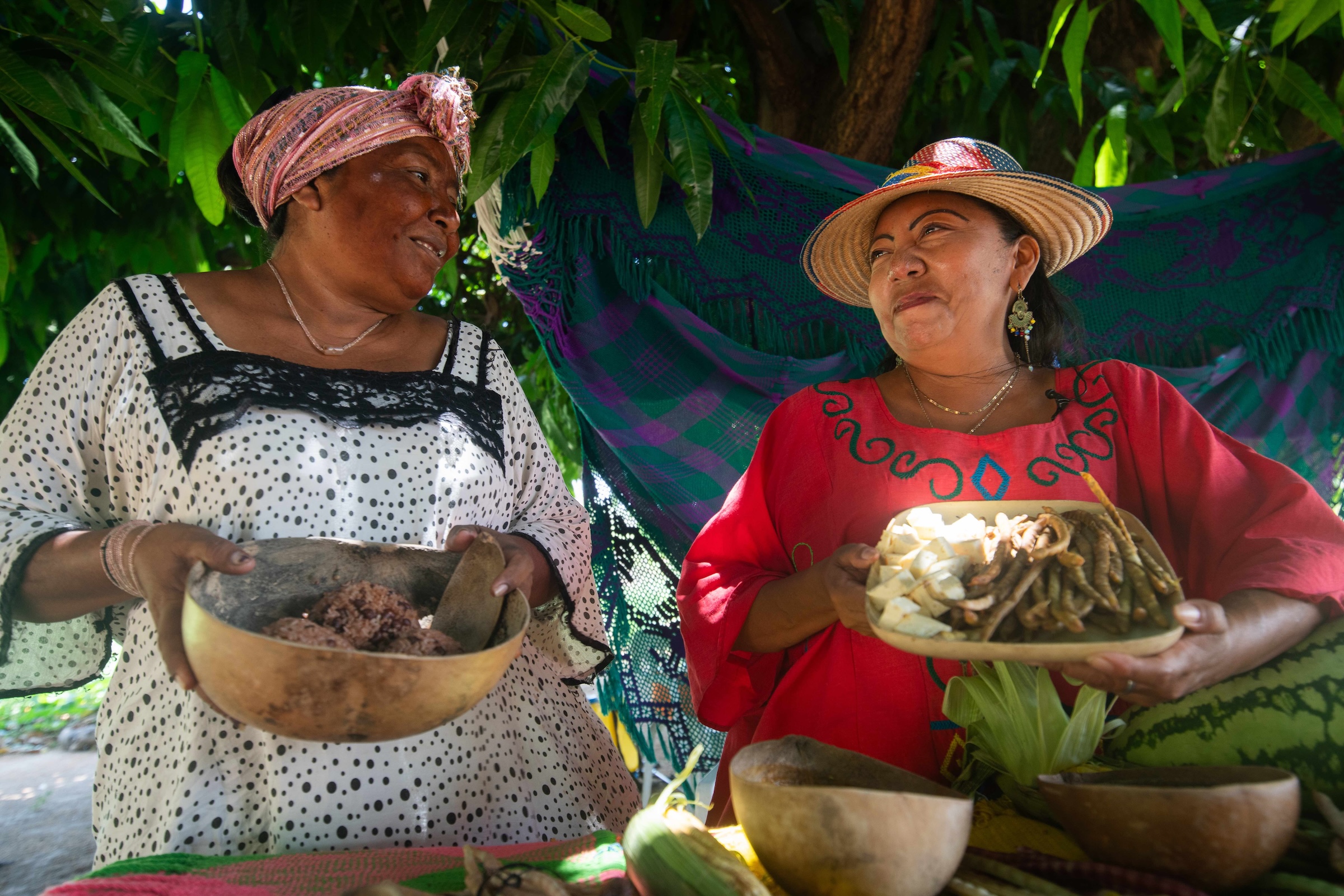 FAO_Colombia's tweet card. Building resilient food systems is one of the most urgent priorities of our time. Here are 5 ways countries are doing that.