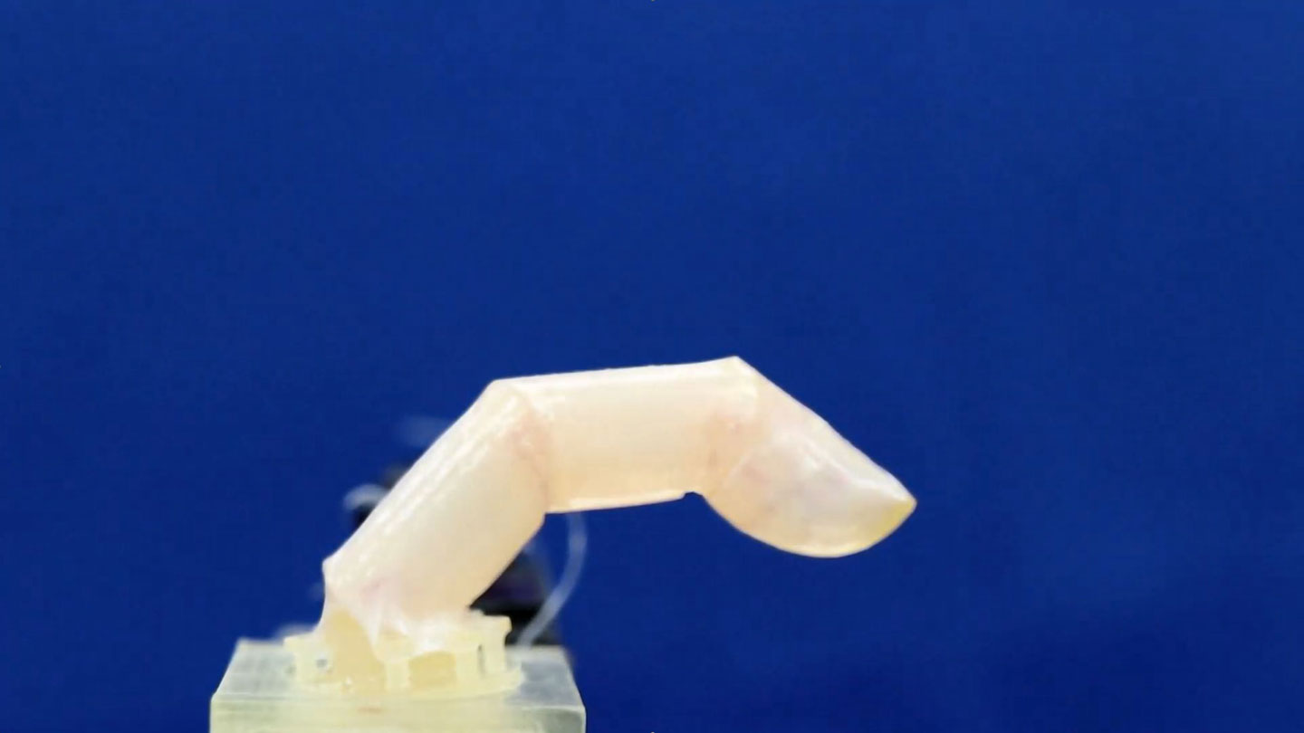 mcMenin67's tweet card. In the hopes of one day building super realistic cyborgs, researchers built a robotic finger that wears living human skin.