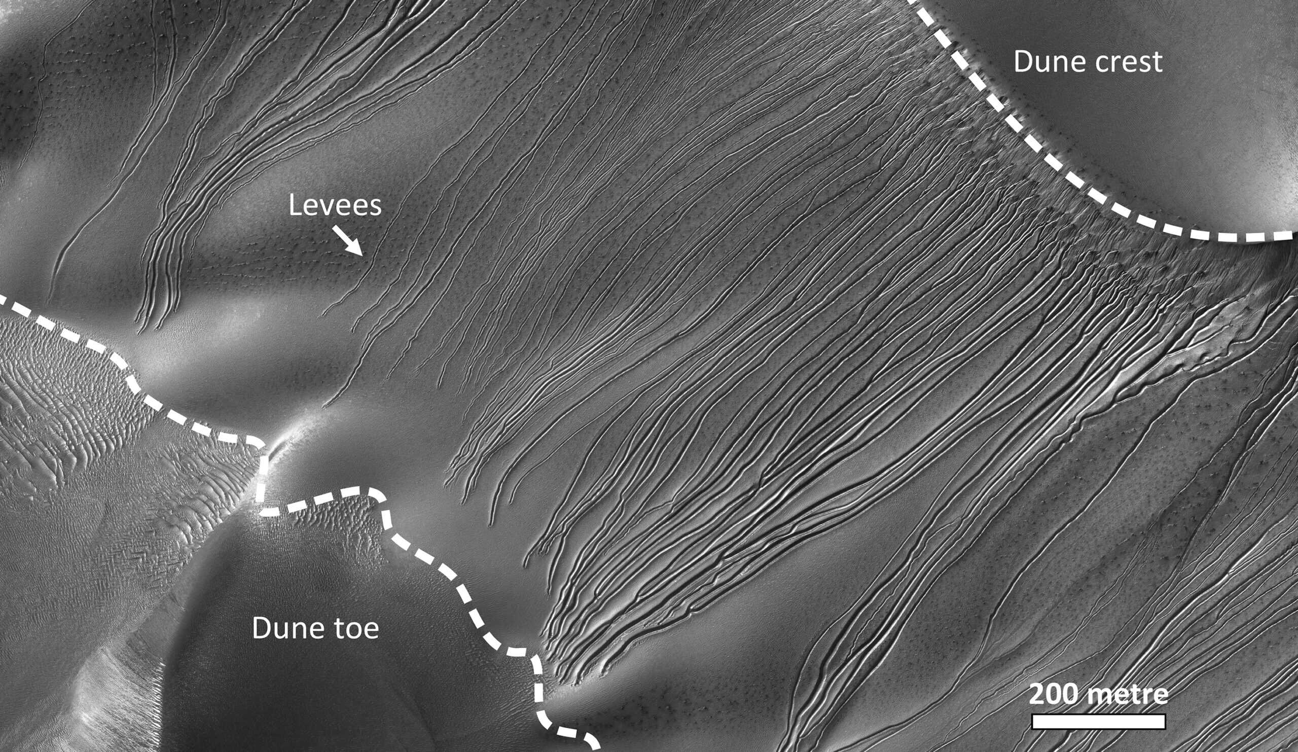 VTBCasts's tweet card. “It felt like I was watching the sandworms in Dune,” scientists said.