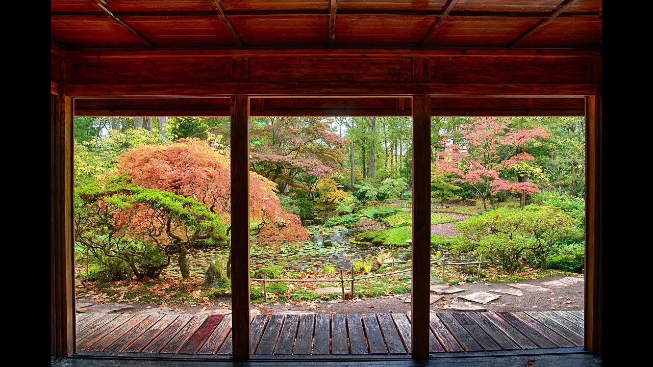 unityinharmony's tweet card. Unity in Harmony - Forest Diaries 3 Japanese Garden, Clingendael...