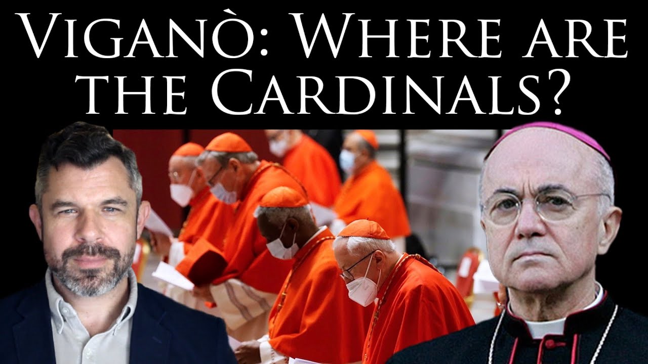 skcoder's tweet card. Viganò: Where are the Cardinals? Why so much silence?
