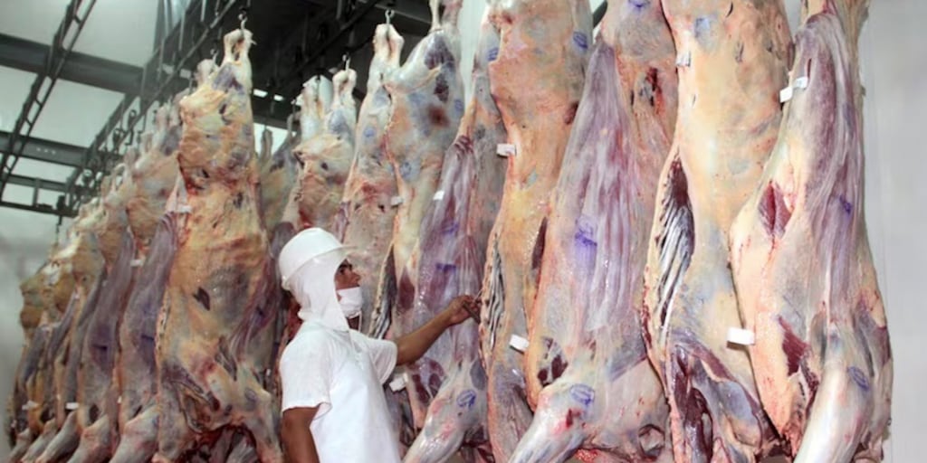 Capexpy's tweet card. La alta calidad de la carne paraguaya le ha permitido conquistar mercados internacionales sumamente exigentes, pero el sector continúa trabajando para que el producto nacional llegue a más destinos,...