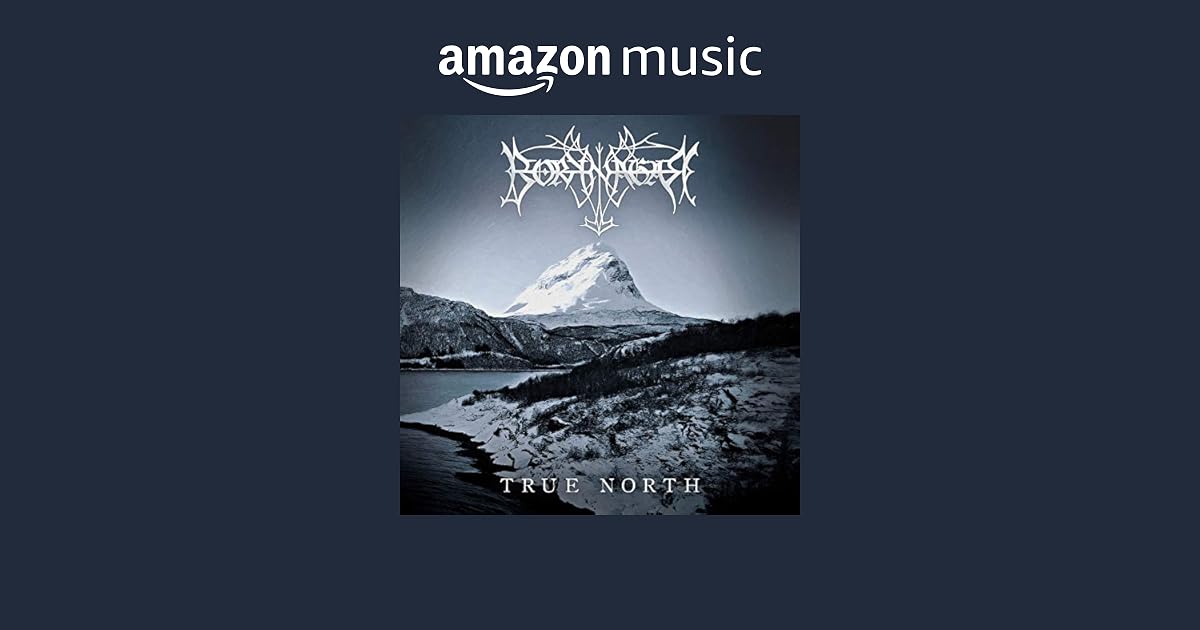 SQLPaparazzo's tweet card. Auf Amazon Music