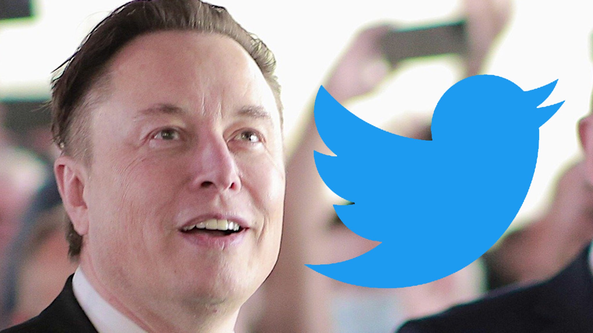 TMZ's tweet card. Elon Musk is officially Twitter's new daddy -- his multi-billion-dollar deal has closed, making him the owner of the popular social media company ... and marking the end of a long saga.