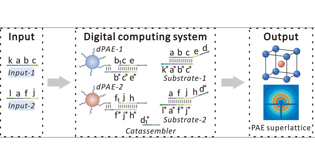 geeknik's tweet card. Toehold-mediated strand displacement (TMSD) provides a versatile toolbox for developing DNA digital computing systems. Although different logic circuits with diverse functions have achieved good...