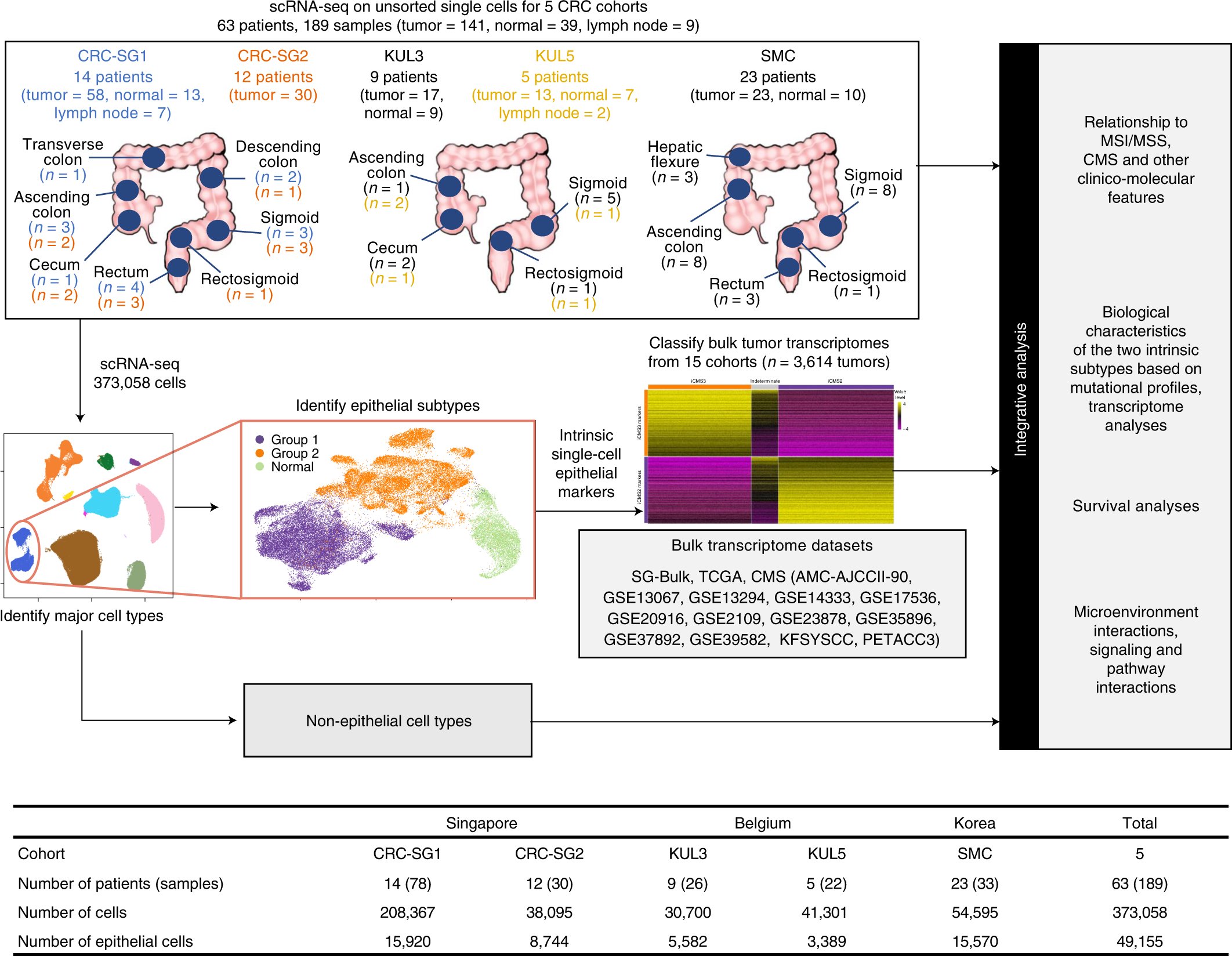 NatureGenet's tweet card. Nature Genetics - A single-cell transcriptomic analysis of 63 patients with colorectal cancer classifies tumor cells into two epithelial subtypes. An improved tumor classification based on...
