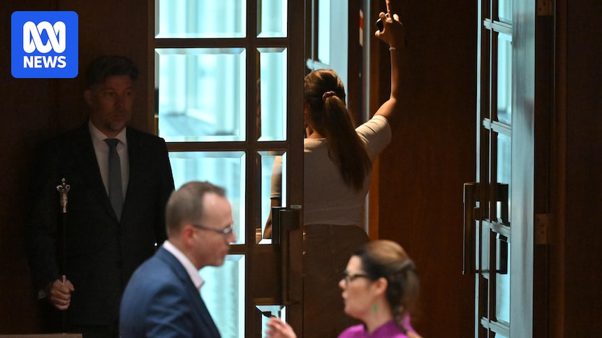 abcnews's tweet card. Labor's Senate leader Penny Wong moved the motion, saying Senator Thorpe's actions had compromised workplace safety in the Senate.