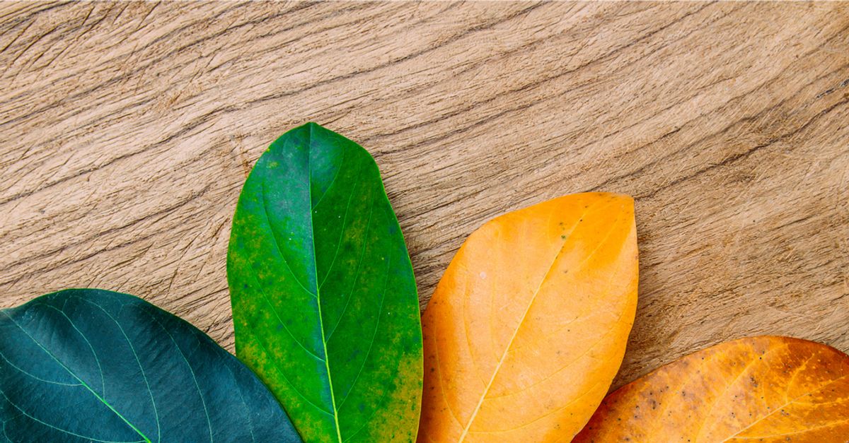 TonyRobbins's tweet card. Much of what we say is automatic. If we start listening to what we are really saying, we can transform our minds. Here are 4 steps to transform your words.