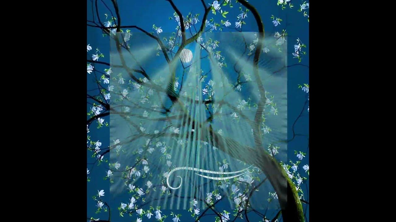 CosmicPatterns's tweet card. Matrix Software