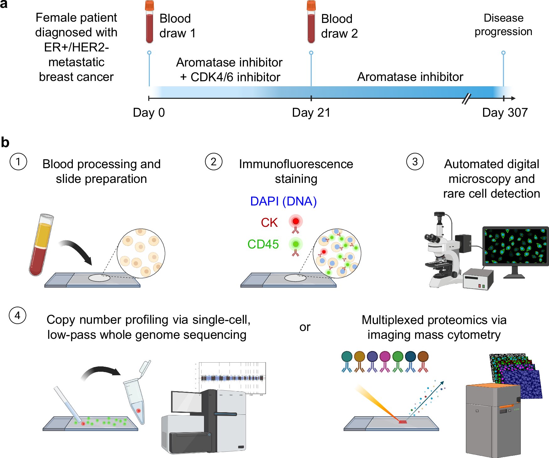 JimMansfieldYWG's tweet card. Communications Medicine - Higa et al. analyzed circulating cells expressing cancer and immune cell markers in breast cancer patients. Based on genomic and protein expression profiling, they show...