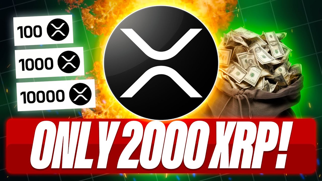 the_xcut's tweet card. DON'T SELL XRP UNDER $10 - 2000 XRP MAKE YOU A MILLIONAIRE IN 2025? -...