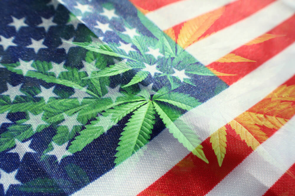 omnimedicalfl's tweet card. In this week's Marijuana Market Update: Florida cannabis legalization would be a boon for the industry. It would create a huge new market.
