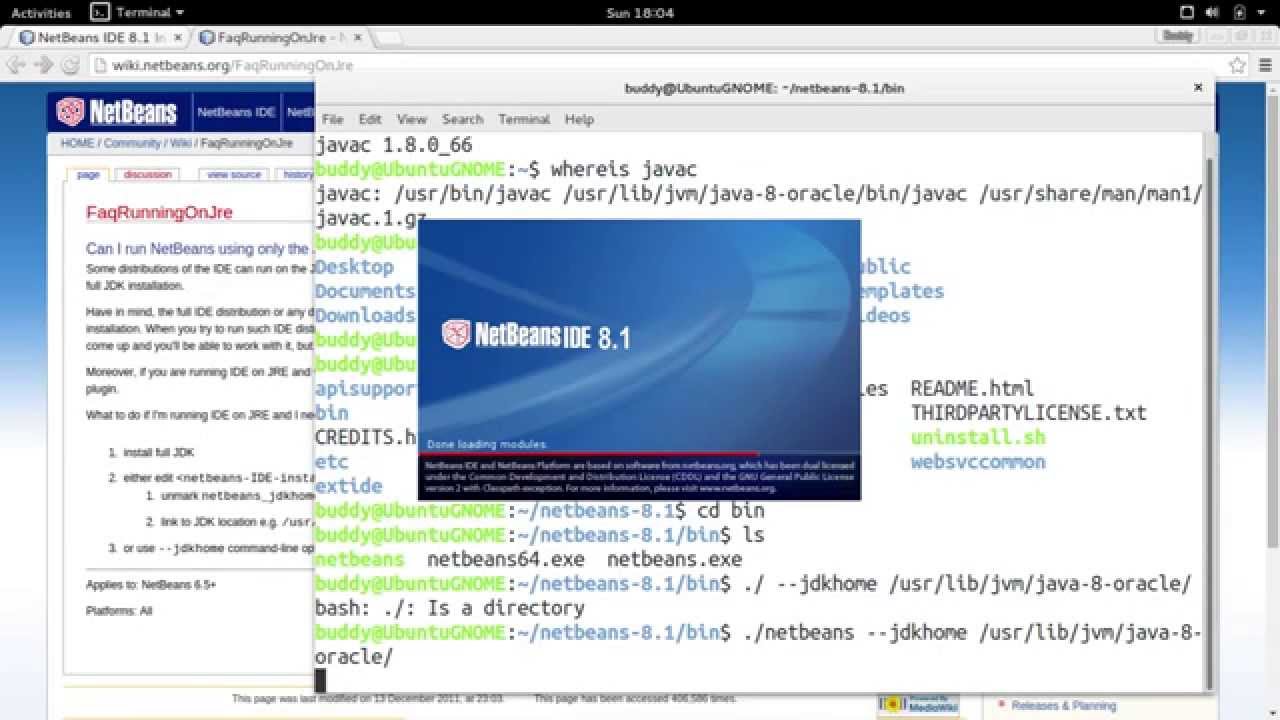 Java_Buddy's tweet card. run netbeans with --jdkhome option
