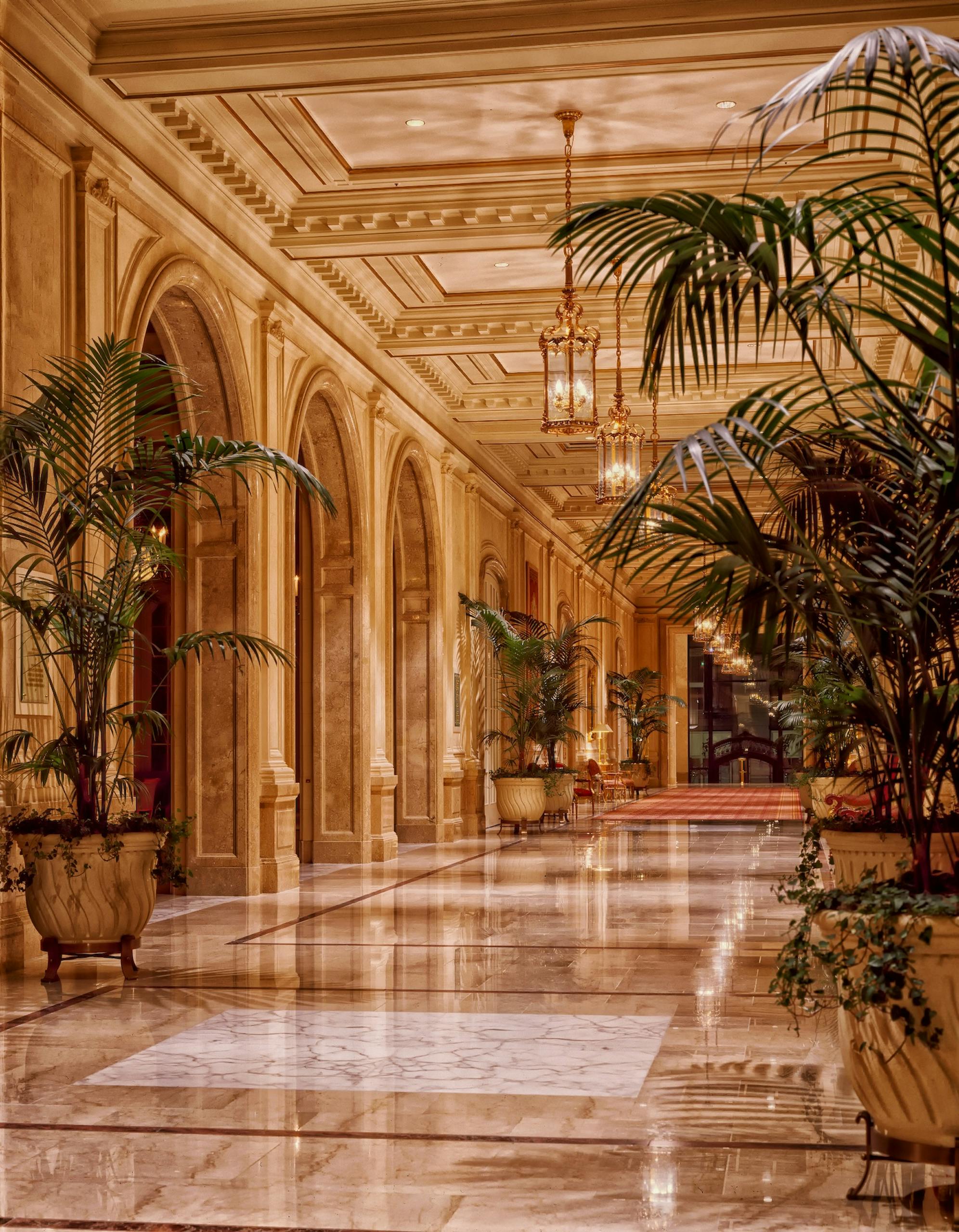injarchitects's tweet card. The term Trompe-l'œil, meaning “deceive the eye” in French, originated in classical painting, especially in Baroque ceiling frescoes that portrayed architectural extensions and infinite skies.