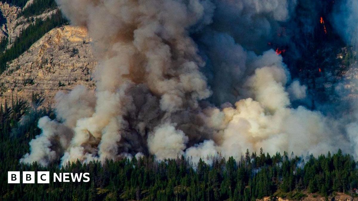 tas_hub's tweet card. UK researchers hope swarms of up to 30 aircraft using AI could put out flames before they spread.