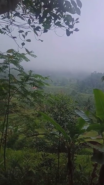 VanjavaDedi's tweet card. Pemandangan Asri di Kmp.ci Cariu ci Karang ci Sewu Garut