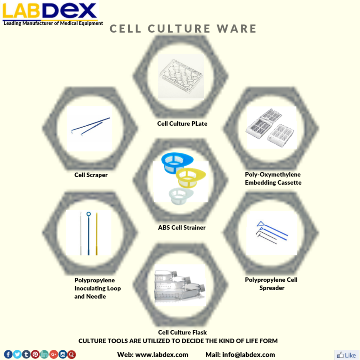 LabDex2's tweet card. Cell culture is key to bioscience analysis in universities, biotechnology, pharmaceuticals, and industries. Your goal is to determine relevant cell models to answer analysis queries or to provide...