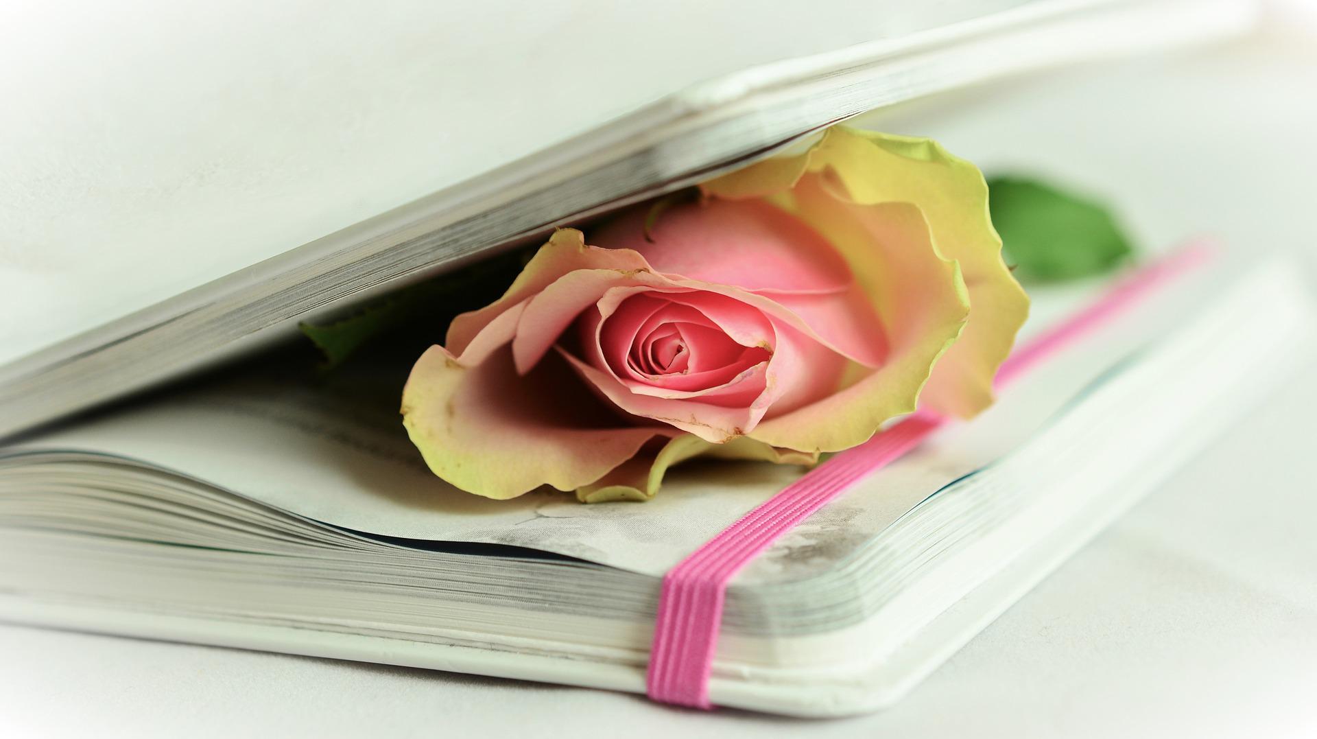 SciCommPLOS's tweet card. By: Sam Illingworth Science and poetry are both used to understand human nature and our world. Why not combine their strengths? I…