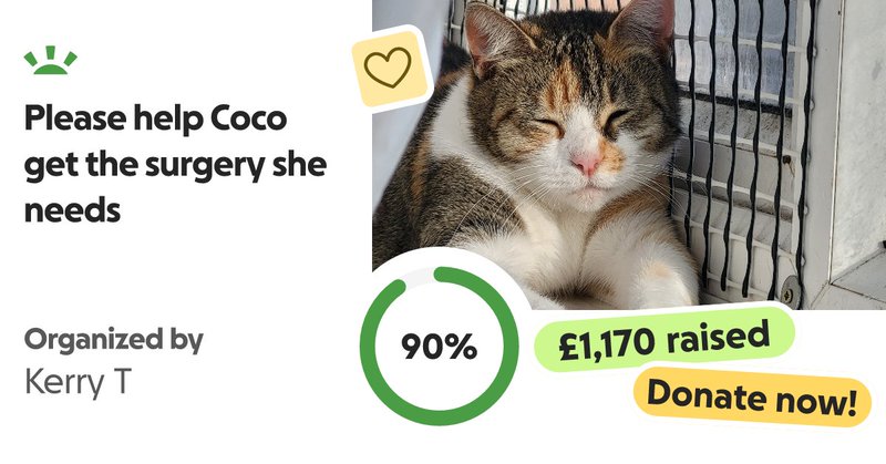 Tweet card summary image