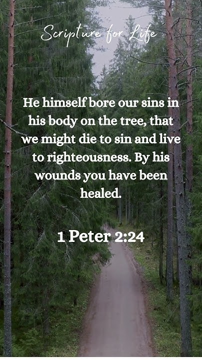 Scriptforlife's tweet card. 1 Peter 2:24 #goodfriday #sacrifice #atonement #righteousness #healing