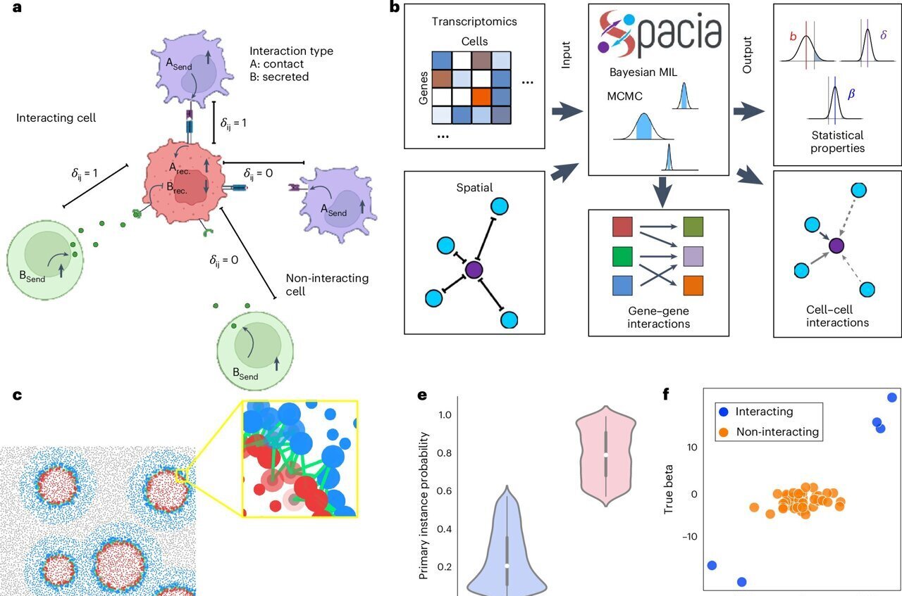 physorg_com's tweet card. A computer model developed by UT Southwestern Medical Center researchers significantly enhances the ability of scientists to detect communication between cells, according to a new study published in...